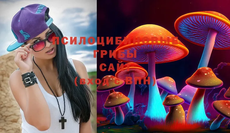 купить  сайты  Агидель  Псилоцибиновые грибы Psilocybine cubensis 